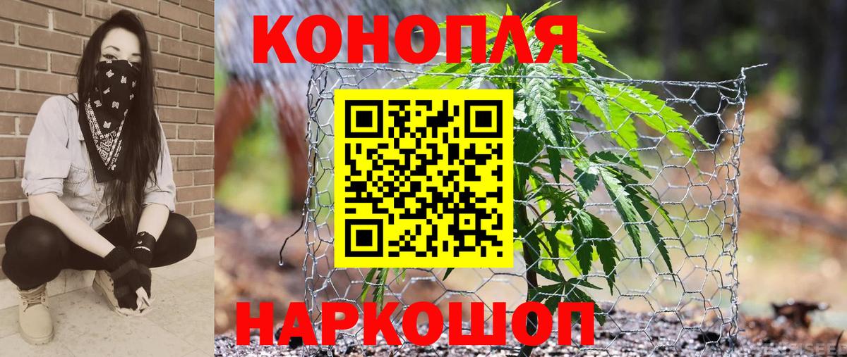 Бошки Шишки семена  Вход с VPN  Марихуана OG Kush  Серпухов  Шишки марихуана LSD WEED  Бошки Шишки SATIVA & INDICA 